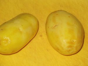 свежая картошка